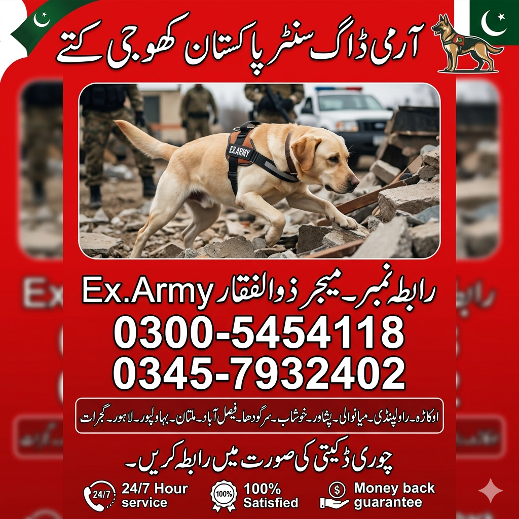 Khoji Dog Center Bahawalnagar 03005454118
