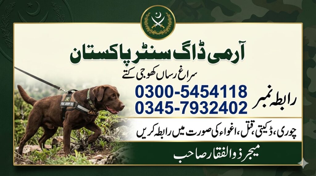 khoji dogs center