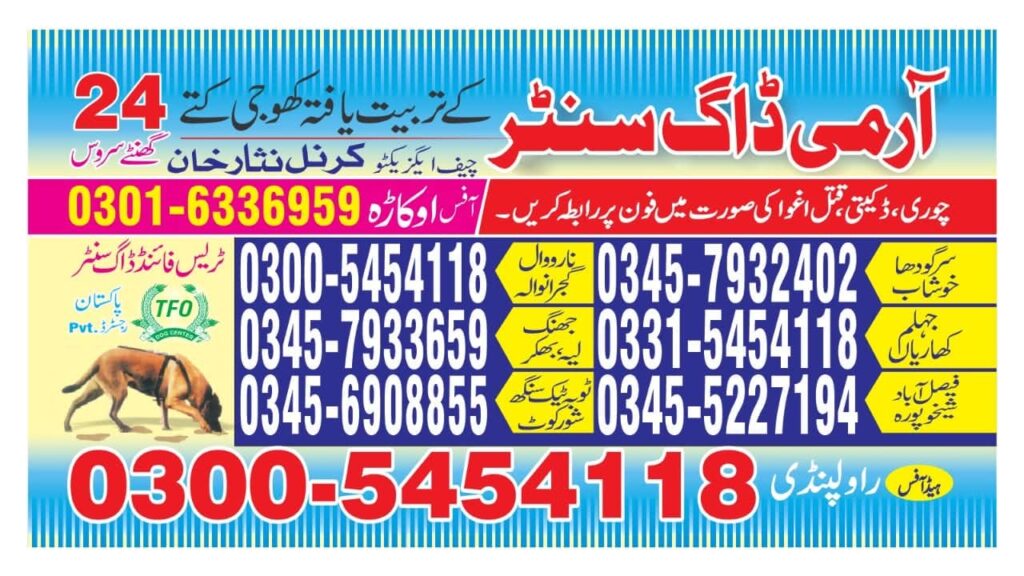 1000118648